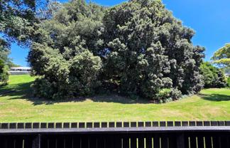 13  Torino Street, Point England