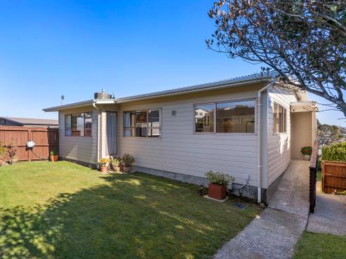 53 Fitzpatrick Street, Newlands