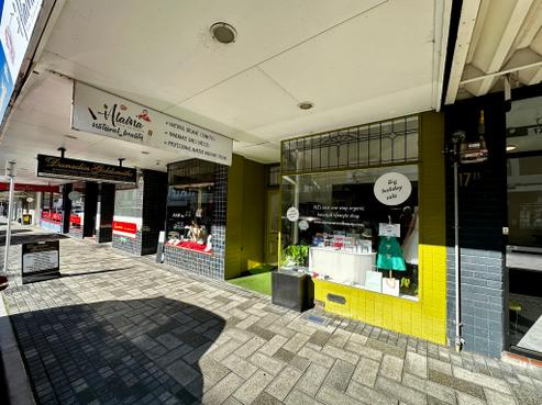 19 Saint Andrew Street, Dunedin Central