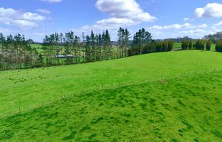  Whakapirau Road, Wellsford