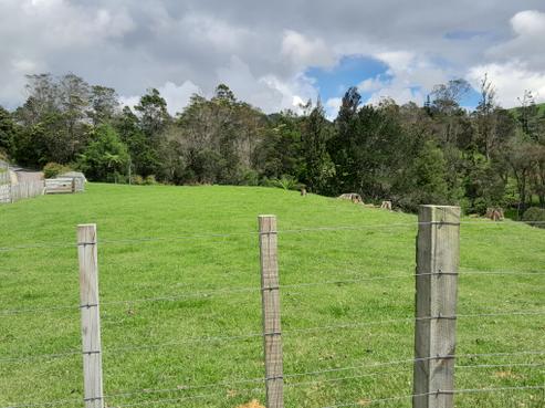 120B Bulltown Road, Waihi