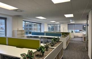 Beautiful!!! and best Value deal on The Terrace!