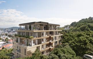 53/43 Austin Street, Mount Victoria
