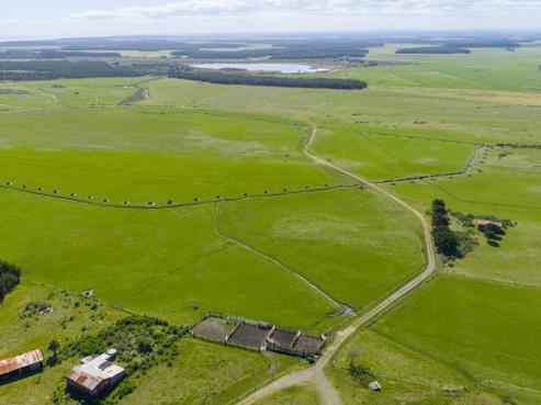 526 Lake Road, Himatangi