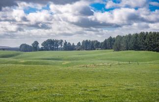 753 Pongakawa Bush Road, Pongakawa