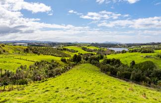 Lot 2, 41 Kokopu Lane, Mangawhai