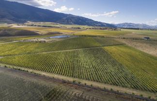 Ata Mara,  Luggate-Cromwell Road and 67G Rush Lane, Mount Pisa