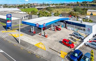 Trophy Investment in Mt Roskill