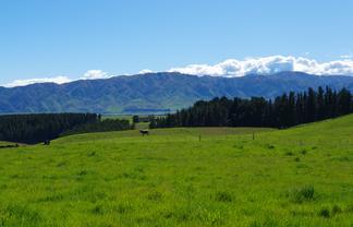 Lot 2 Cricklewood Rise Grants Road, Kurow
