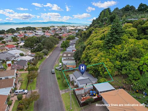 303 Campbell Street, Thames