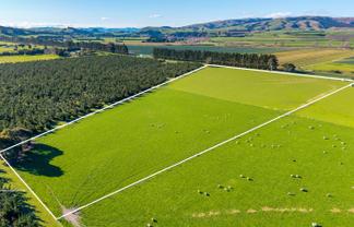 156 Webbs Road, Amberley