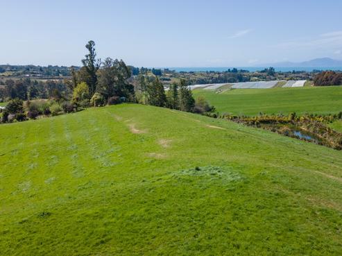 171 Dominion Road, Mahana