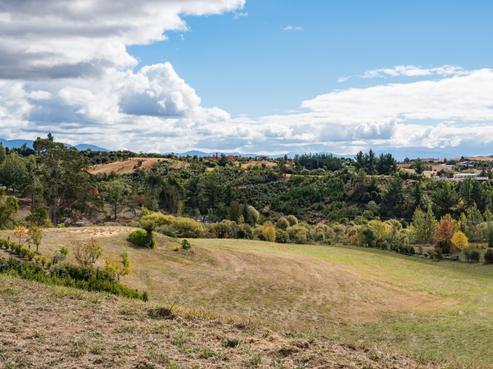 167 Dominion Road, Mahana