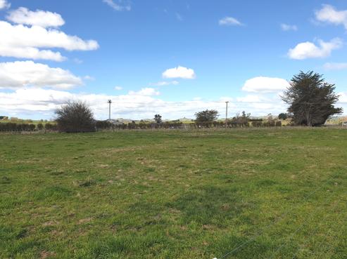 1 Elm Place, Waipukurau and Surrounds