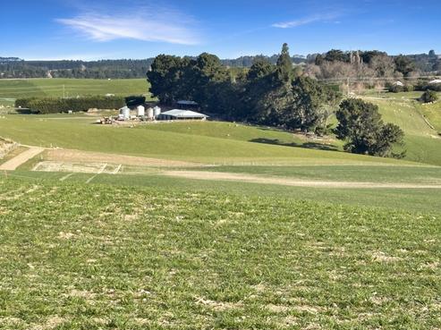 594 Tokarahi-ngapara Road, Duntroon