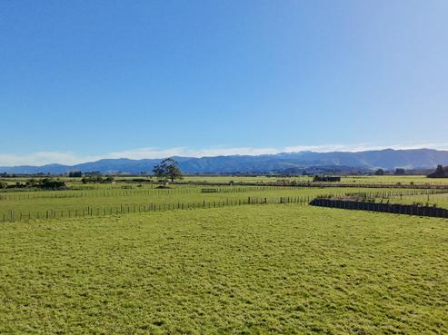 1 Nicholson Road, Carterton