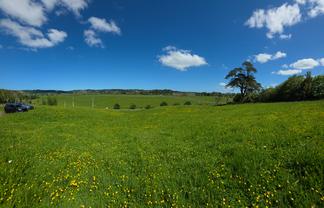 11 Davidson Road, Waimauku