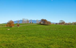 1/69 Douch Road, Ohaupo