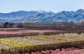 5221 Kurow Duntroon Road, Duntroon