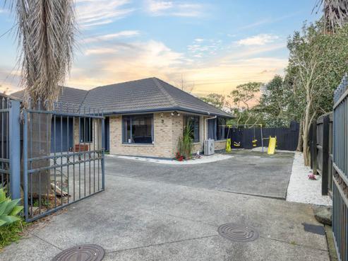 3 Finlayson Avenue, Clendon Park