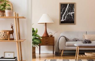 Leading Auckland Staging and Interiors Company