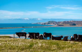 60 Merrifields Road, Blind River