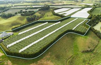 471b Old Coach Road, Paengaroa