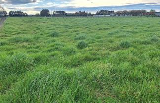 Lot 1, 49 Laws Road, Dannevirke