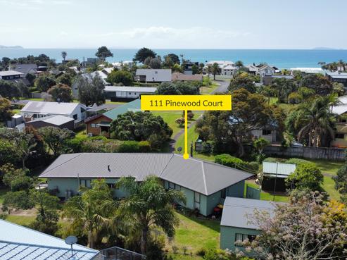 111 Pinewood Court, Matarangi