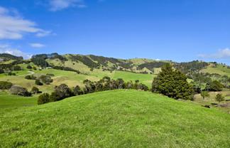  Whakahara Road, Dargaville