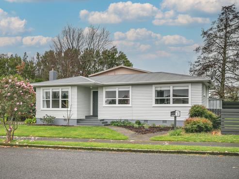 3 Conway Street, Levin