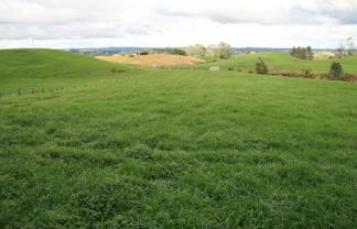 190 Lincoln Road, Inglewood