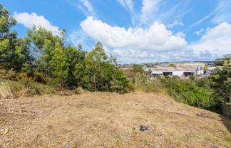 35 Alanbrooke Crescent, Avondale