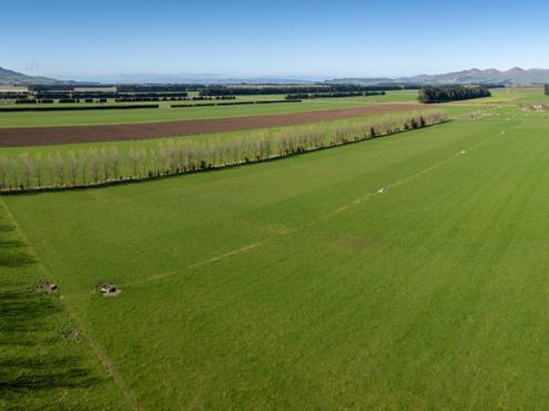 648 Ellis Road, Lumsden Surrounds