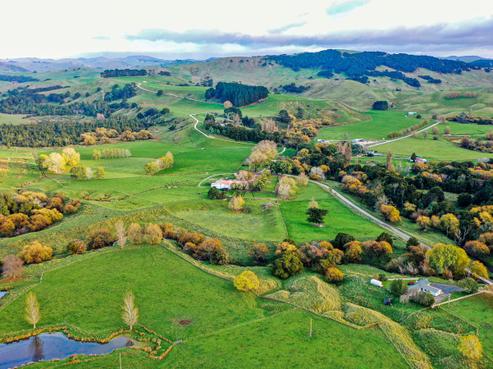 1550 Glenora Road, Pongaroa