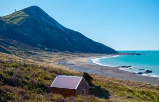 7611 State Highway 1, Ward