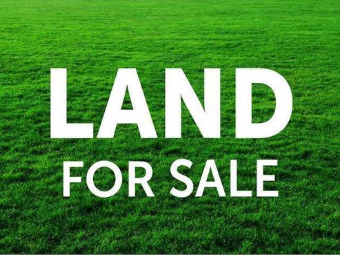 4 Titchmarsh Lane, Pokeno
