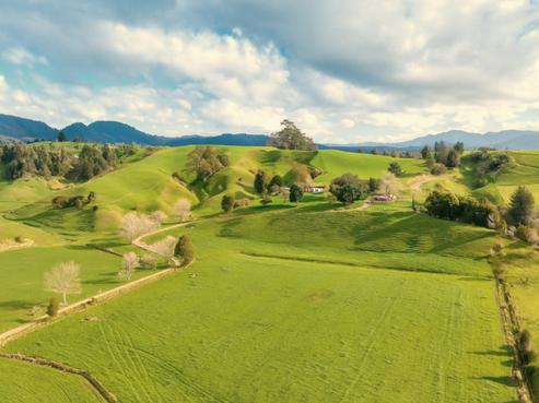 636 Otara Road, Opotiki and Surrounds