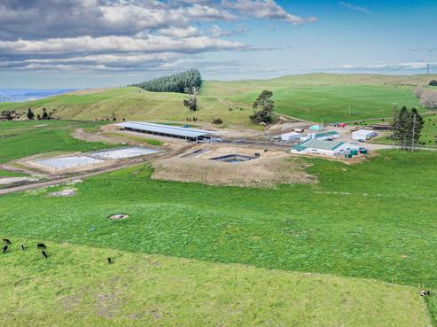 3986 Puketitiri Road, Hastings Country