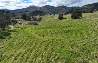 2164 Te Mai Road, Tinui Valley