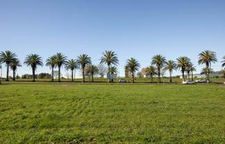 Lot 2, 156 Parry Palm Avenue, Waihi