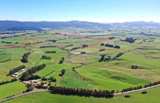 1550 Waimumu Road, Te Tipua