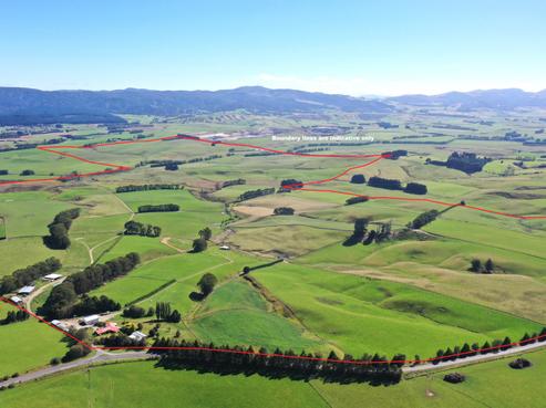 1550 Waimumu Road, Gore Surrounds