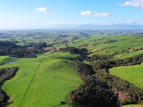 613 Waterworks Road, Te Miro