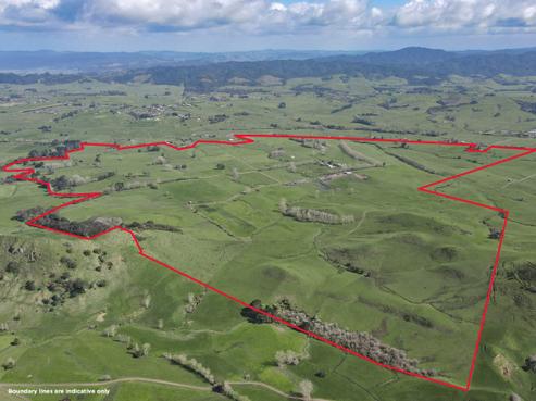 83 Miller Road, Mangatangi