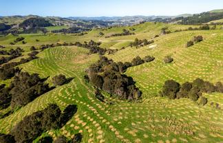  Te Wera Forest, Carterton
