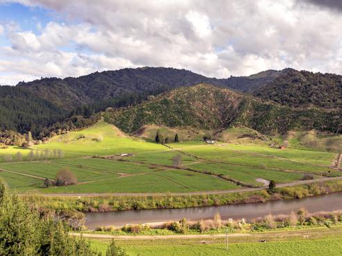 956 Otara Road, Opotiki and Surrounds