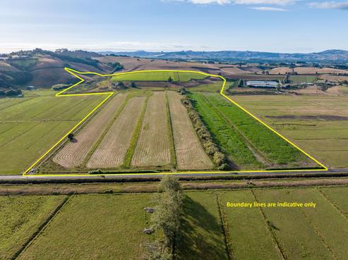229 Wily Road, Puni