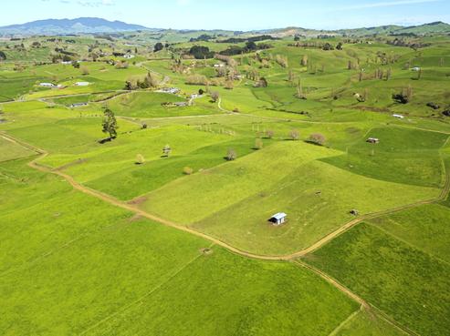 226A Buckland Road, Matamata