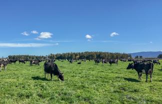 1807 Kahutara Road, Kahutara
